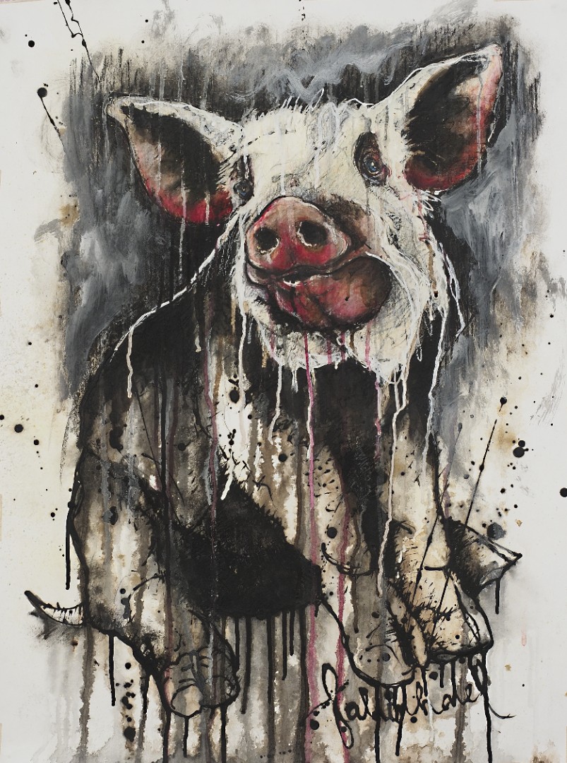 Fabien Harel — Pig