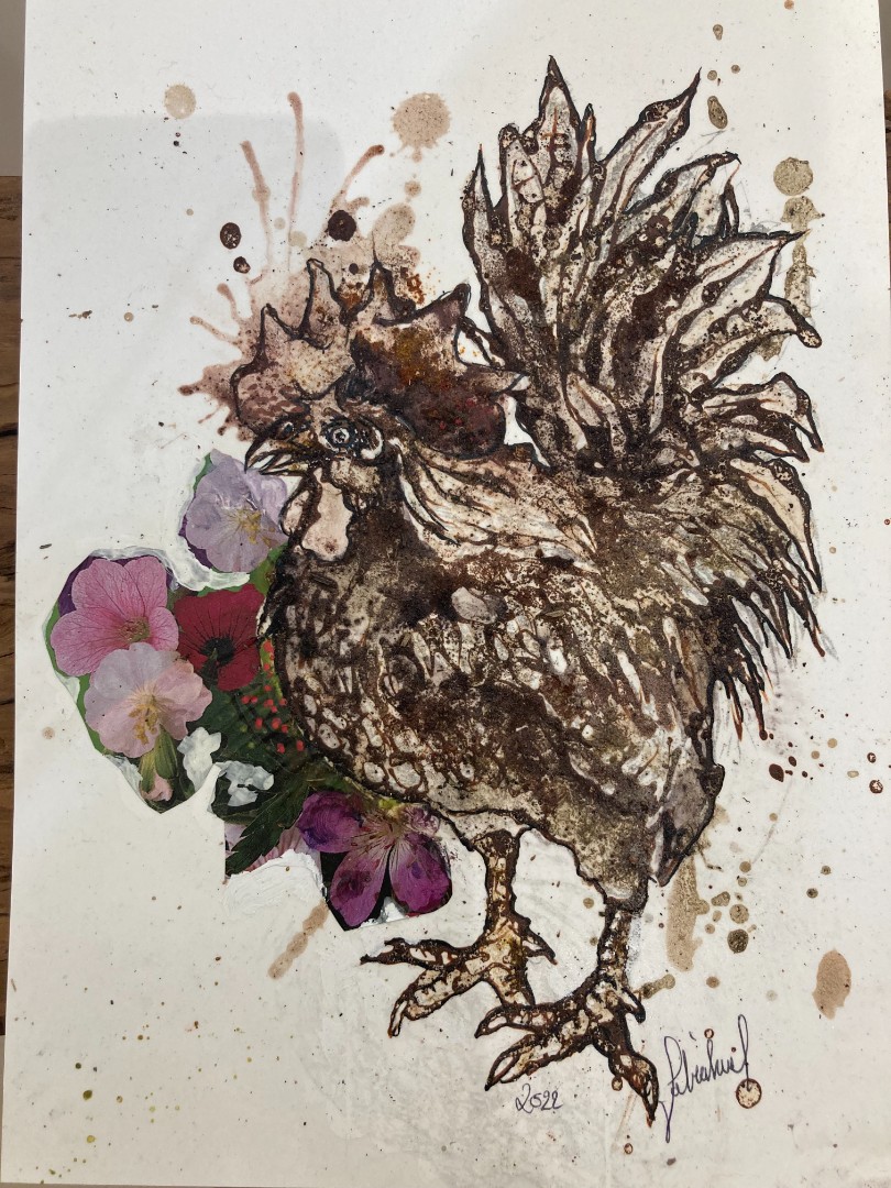 Fabien Harel — Rooster