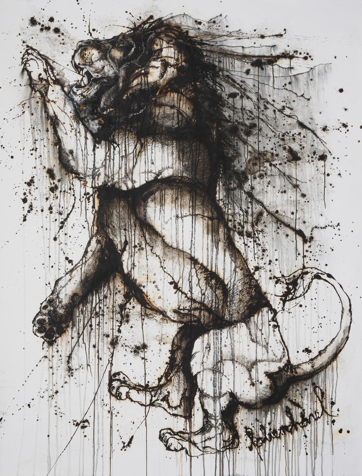 Fabien Harel — Lion