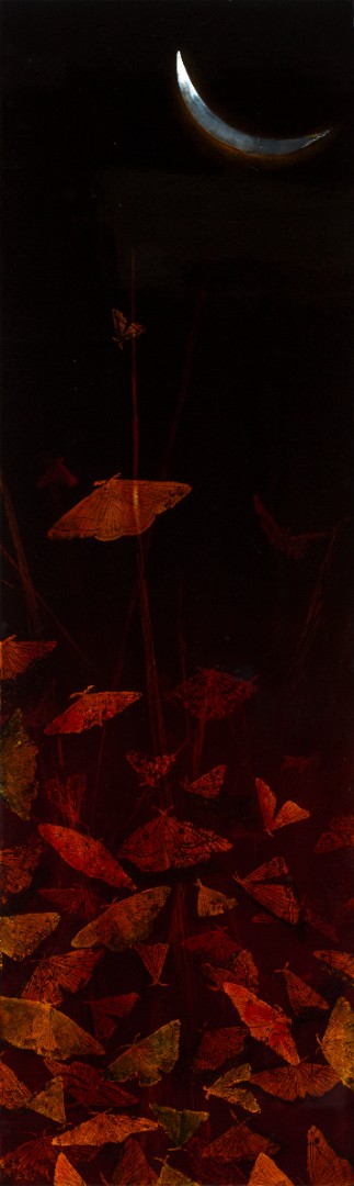 Ming-Chun Lai — Artwork 2